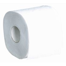 Toilettenpapier Kleinrollen 2-lagig