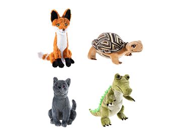 school-of-magical-animals
