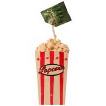 
Popcorn Seasoning Sourcream

