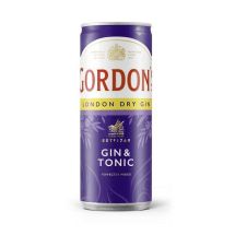Gordon&Tonic 10% 0,25l - 12 Dosen